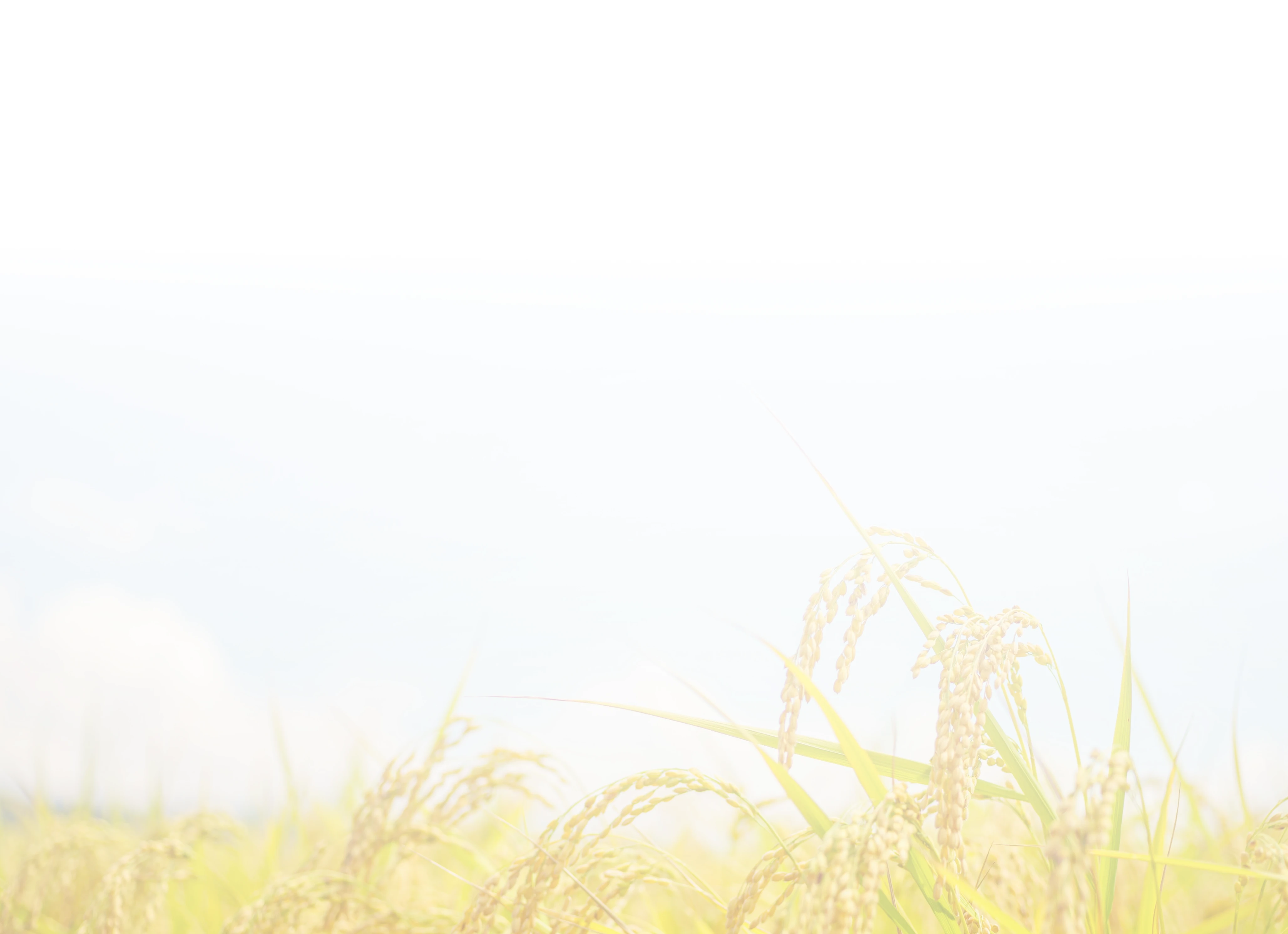 bg_sec_img_home_sctn178